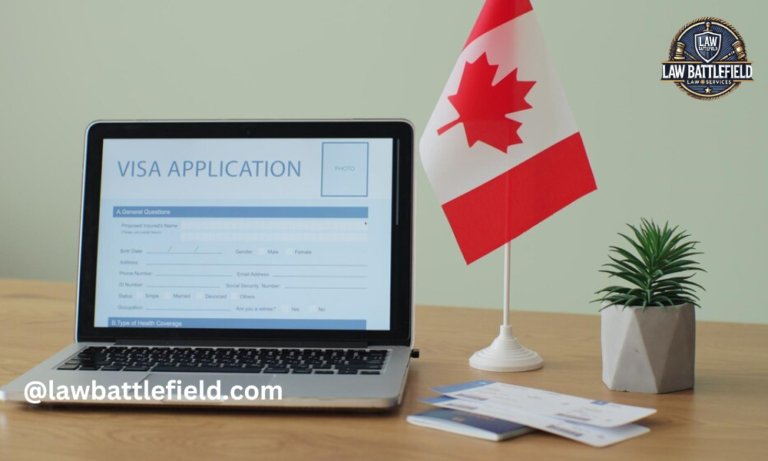 Immigration Consultant